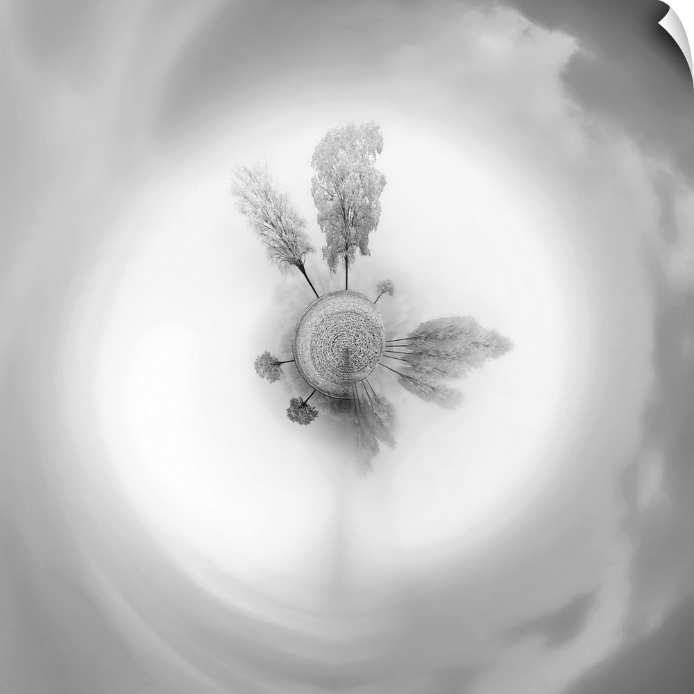 Snow-covered trees under a sky full of clouds, with a stereographic projection effect on the image, resembling a tiny planet.