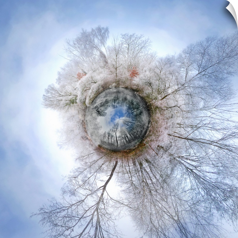 A forest covered in snow in the winter under a cloudy sky, with a stereographic projection effect on the image, resembling...