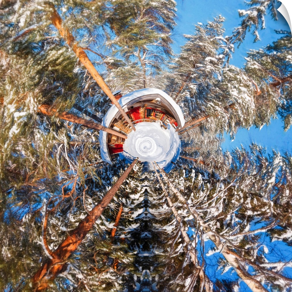 Stereographic projection effect on a photo of a forest with snow covered trees in the winter.