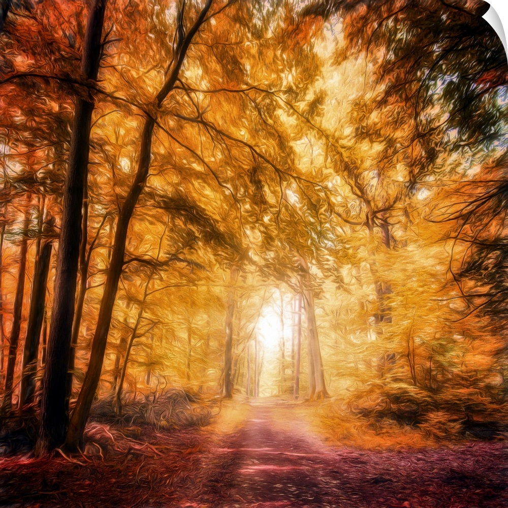 Photo Expressionism - Bright path in an autumn forest.