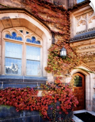 Ivy with Fall Colors of Princeton University