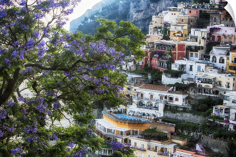 High Angle View of Hillside Houses in Positano with a Blooming Jacaranda