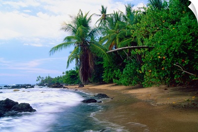 Jungle Meets the Pacific Ocean, Corcovado National Park, Costa R