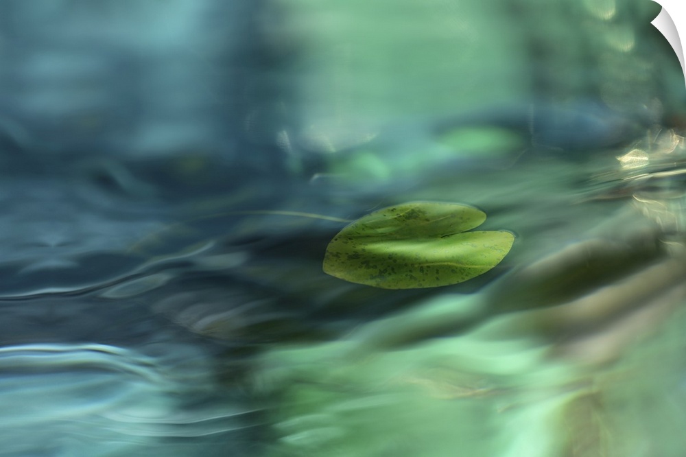 A water lily leaf with several layers of abstract water motif.