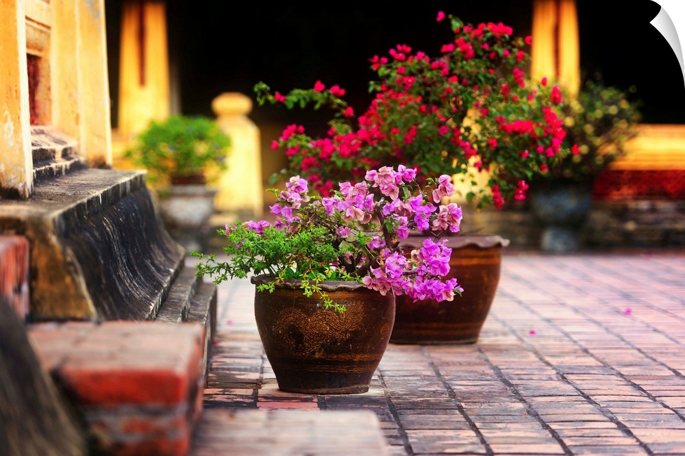 Flower pots at a temple in Asia