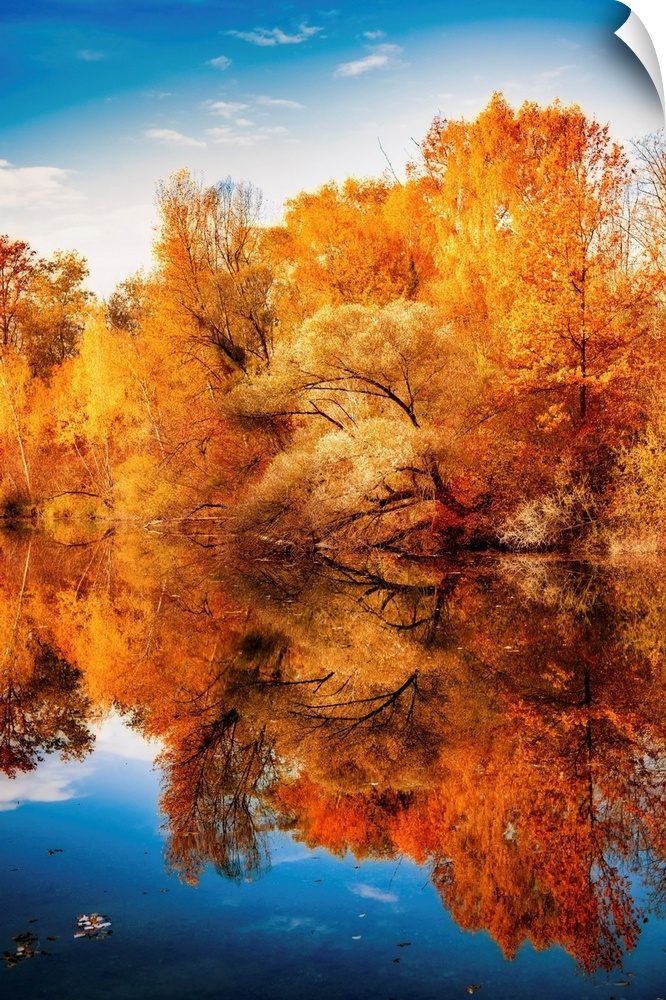 Reflection of an autumn forest