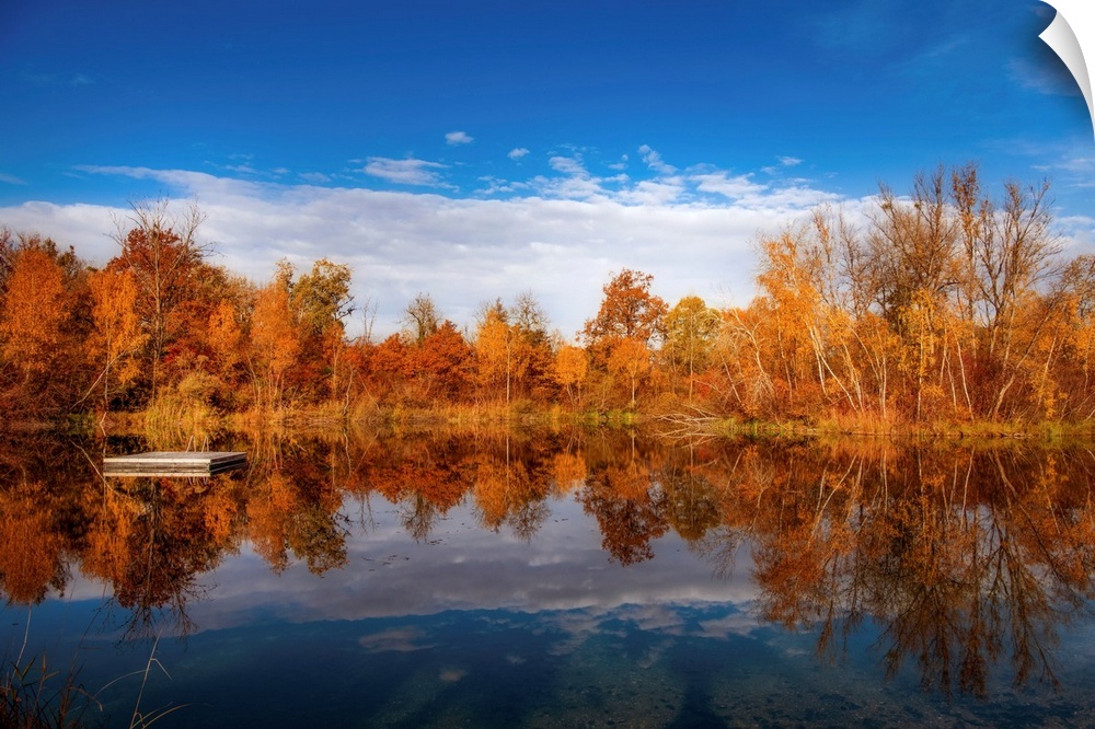 Autumn scenery around a lake under a beautiful blue sky
