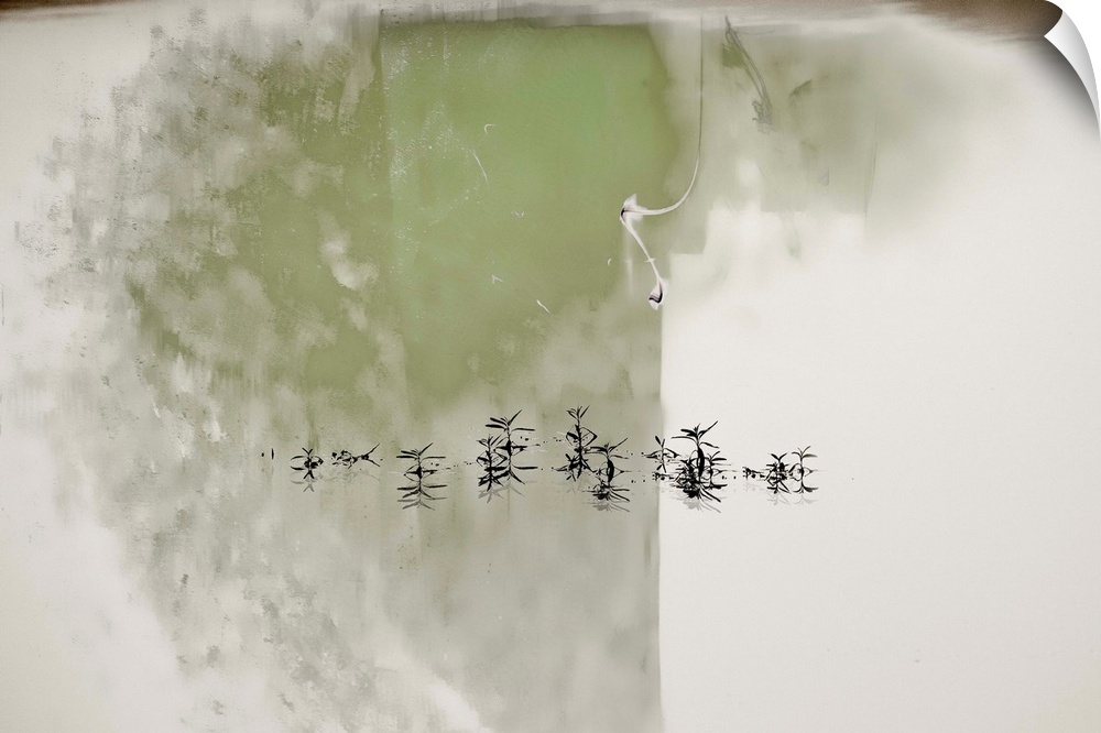 Conceptual photograph of plants reflecting on to still waters with an abstract background in green, brown, and gray.