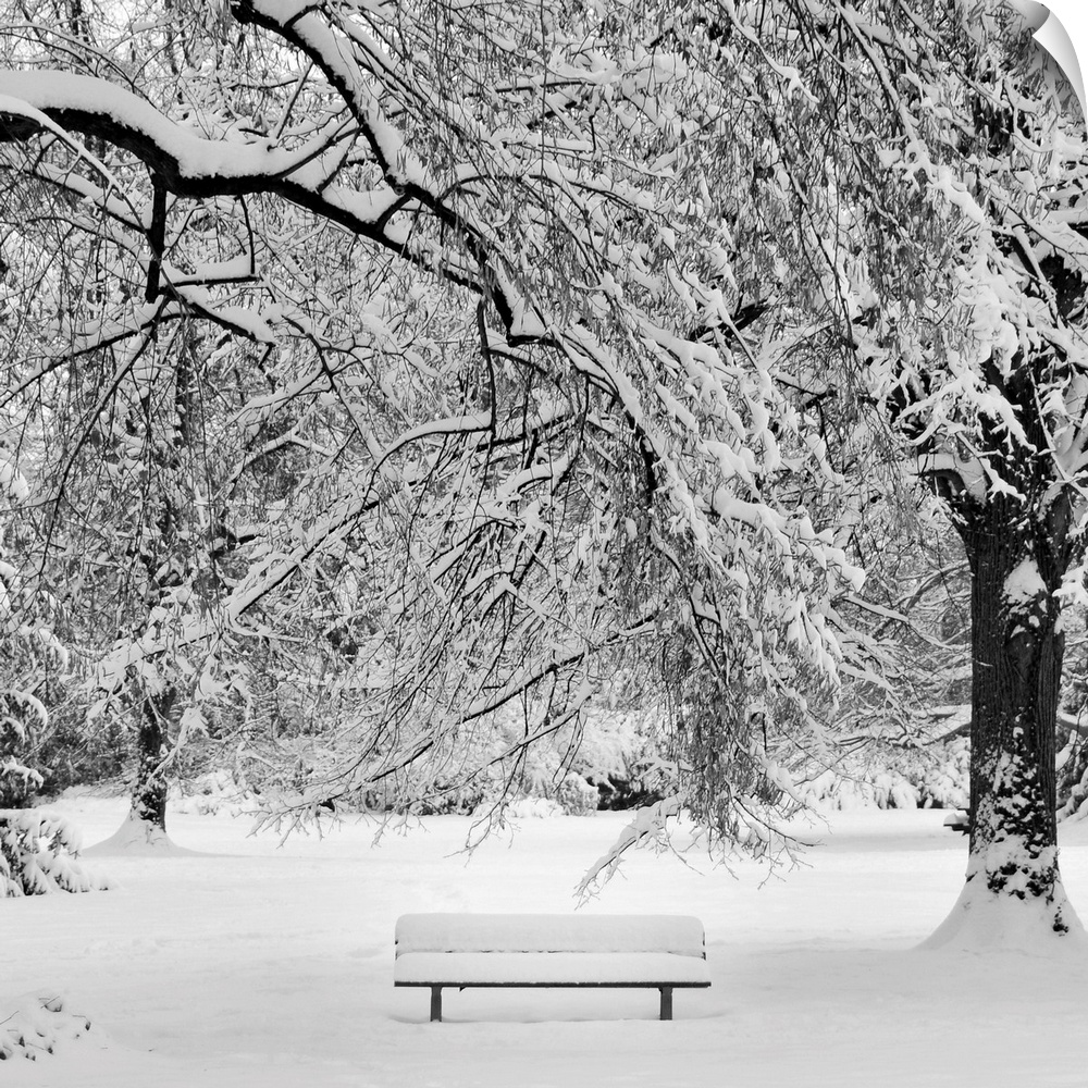 Square image of a snow covered bench in a snowy wooded area.