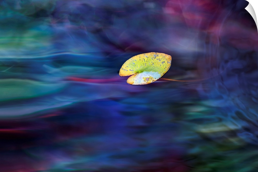 A leaf on water, added several layers of abstract macro images.