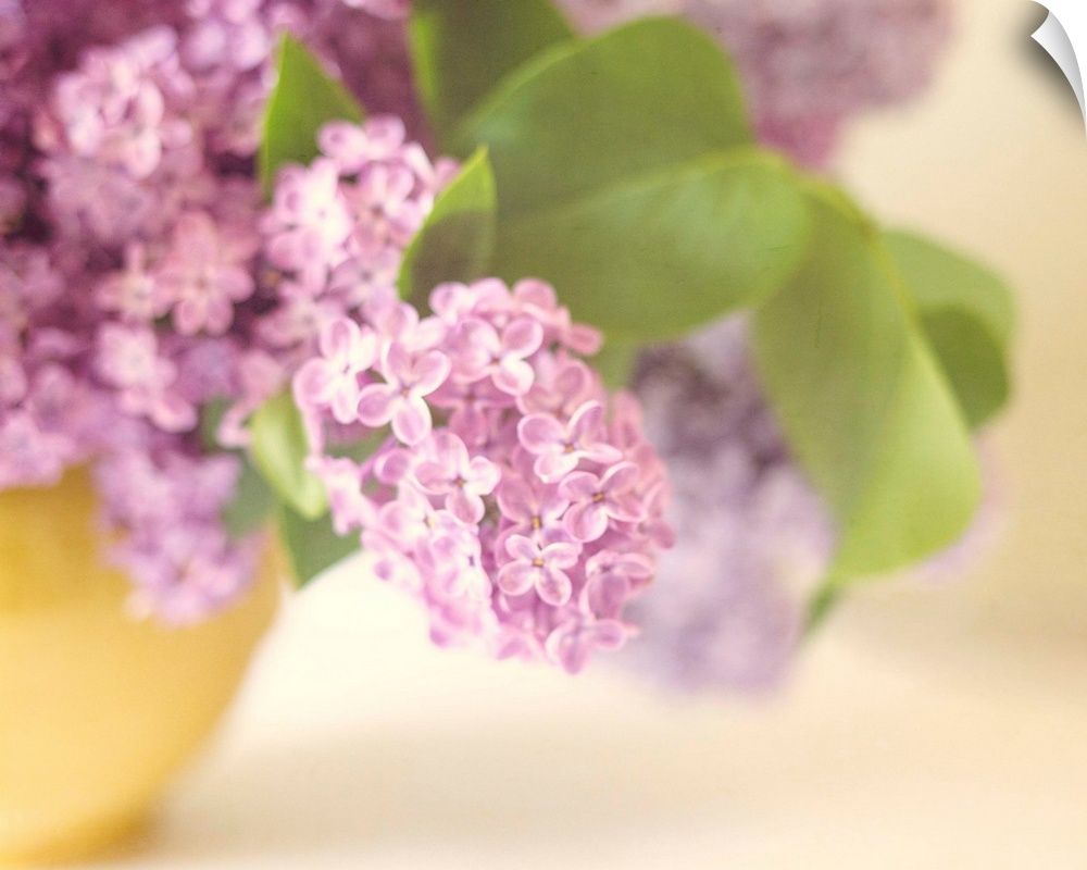 A soft focus vintage bowl of Lilac flower blossoms in a soft yellow vase.