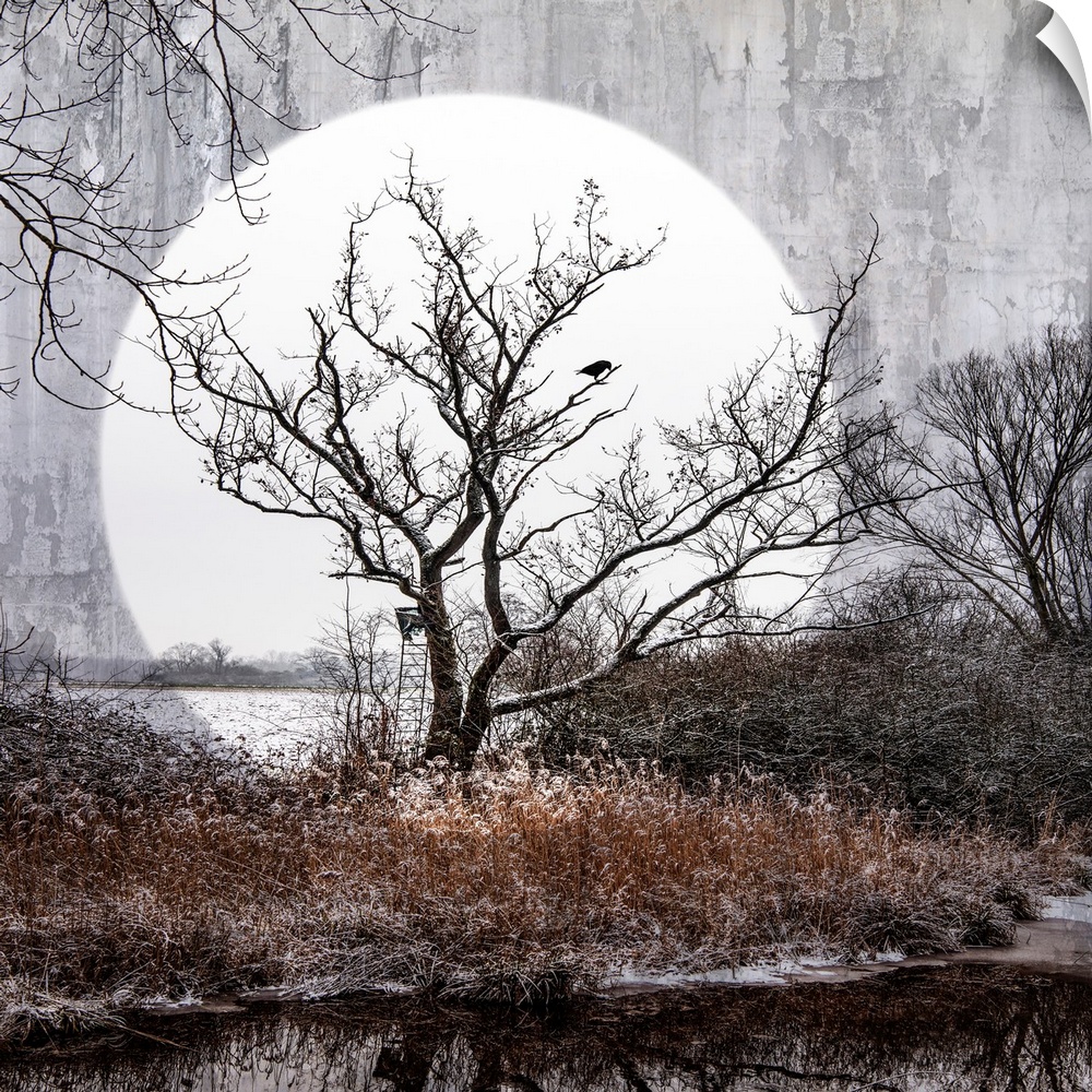 A big moon behind a swampy landscape