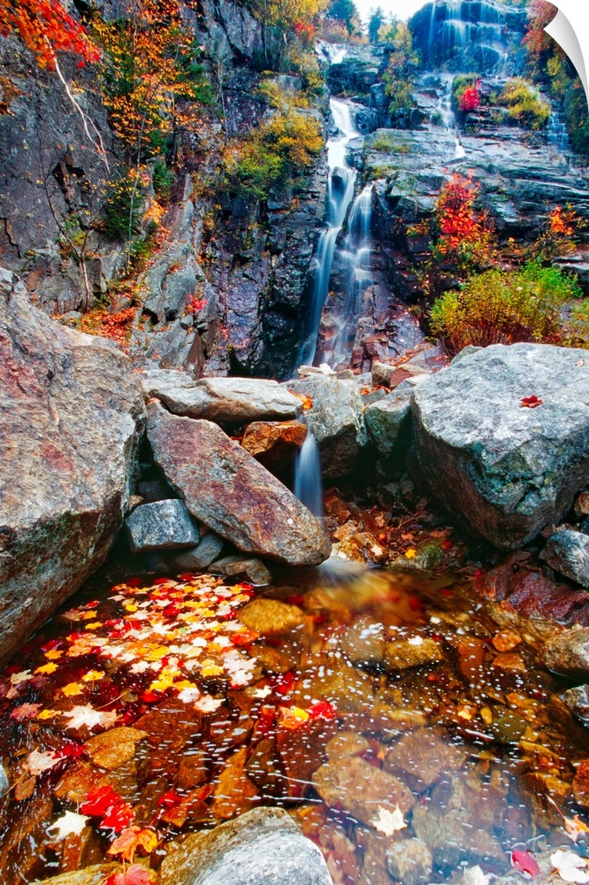 Low Angle View of a  Waterfall with Colorful Fall Leaves, Silver Cascade, White Mountain National Forest, New Hampshire