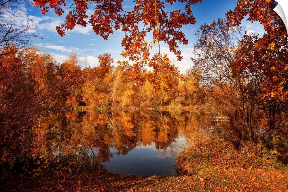 Autumn landscape with colorful trees at the edge of a pond