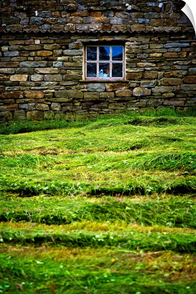 Photograph taken of a stone wall with a window in it and thick cut grass just in front.