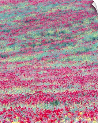 Meadow Tapestry