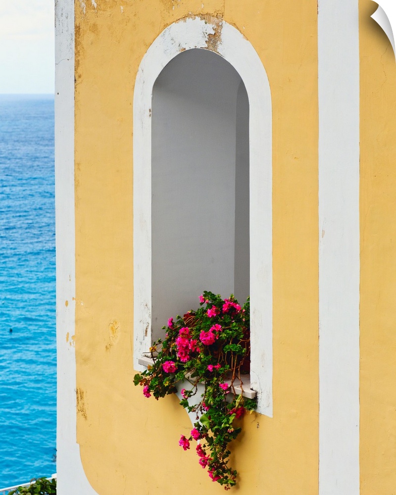 Flower in window at Seaside, Positano, Campania, Italy.