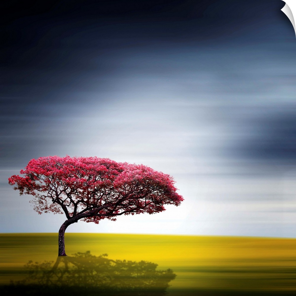 A red tree in front of a blurred landscape