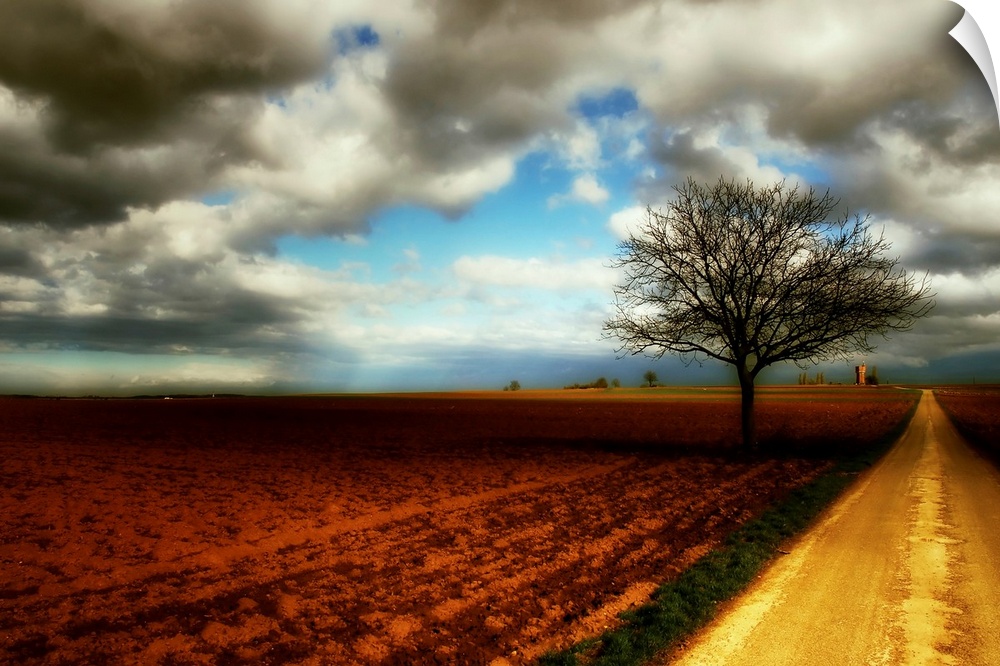 Wall art of an empty field with a dirt road running through it and a lone tree silhouetted against a cloudy yet bright sky.