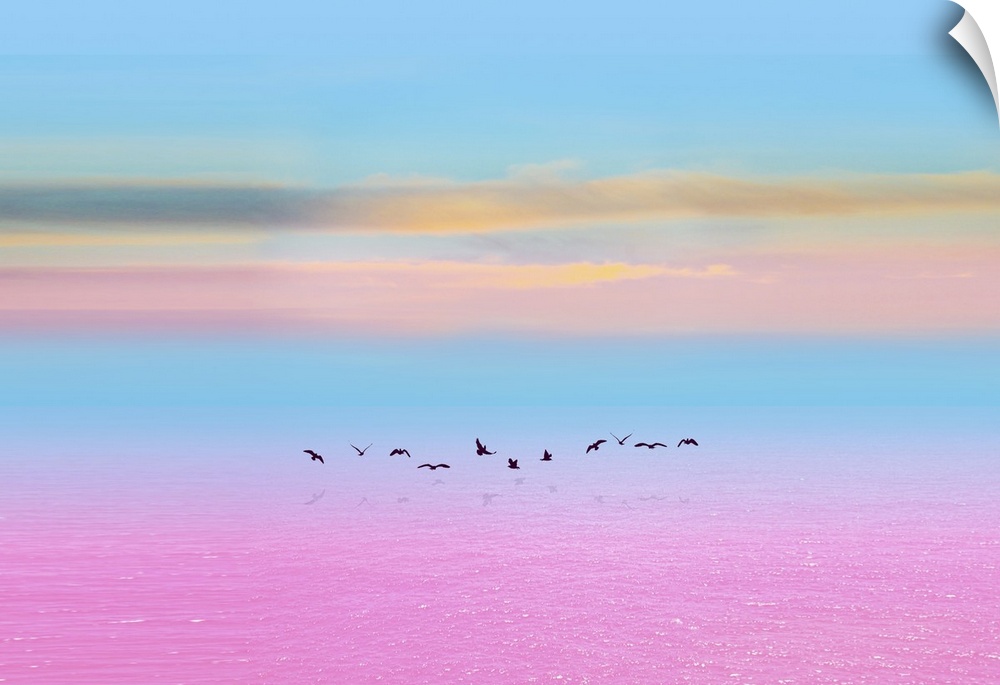 This photo was taken in spring on the pink lake, it is in this season that the migratory birds return following routes inv...