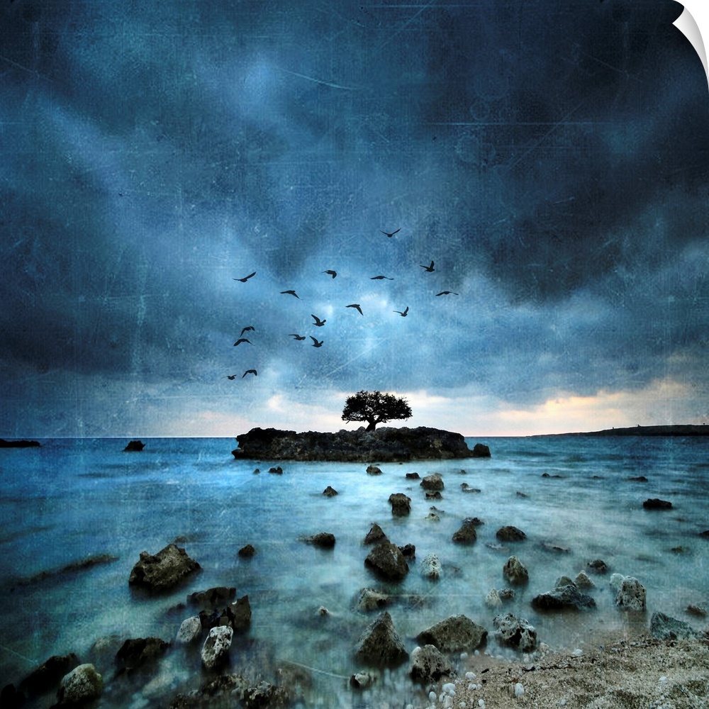 Island with birds and a cloudy sky