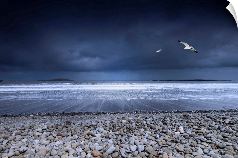 Fine art photo of a rocky beach on the ocean shore with two seagulls in the dark, stormy sky.