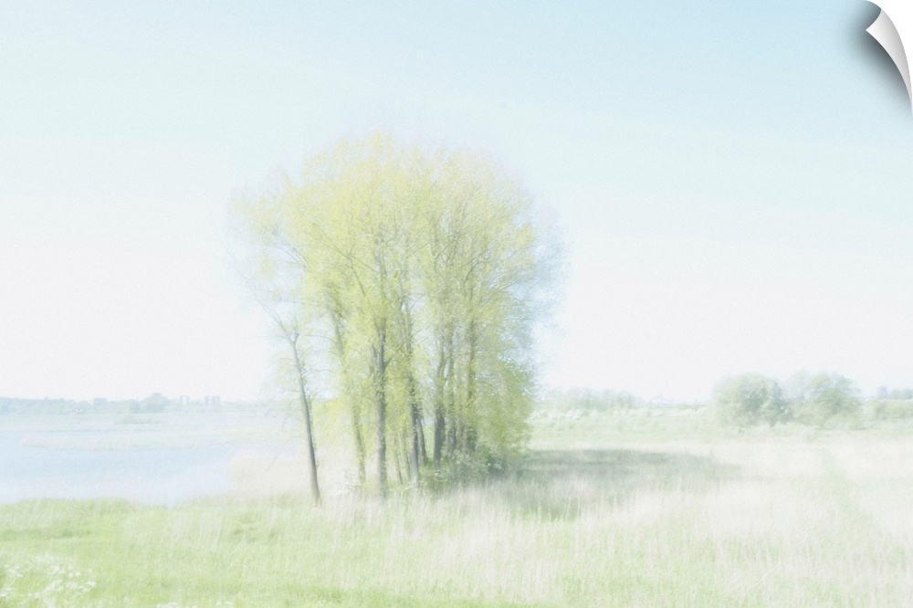 Artistically blurred photo. Trees musing on a warm summer day.