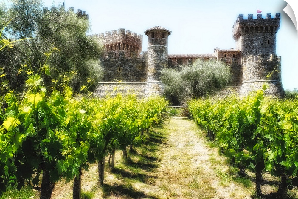 Low Amgle View of a Tuscan Style Castle with rows of Grapevine, California