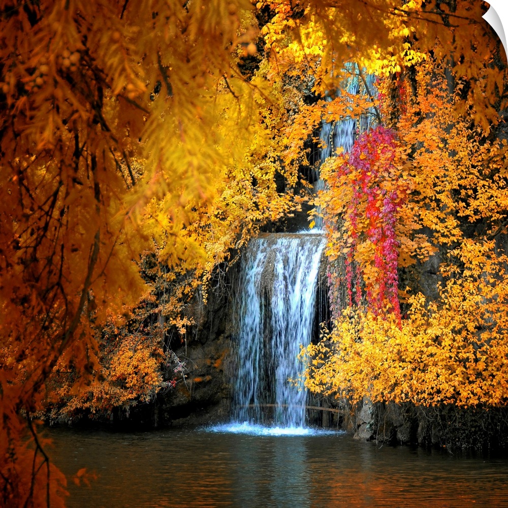 Photograph of waterfall seen through the brightly colored autumn leaves.