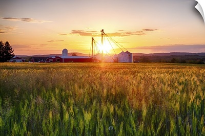 New Jersey Farm At Sunset