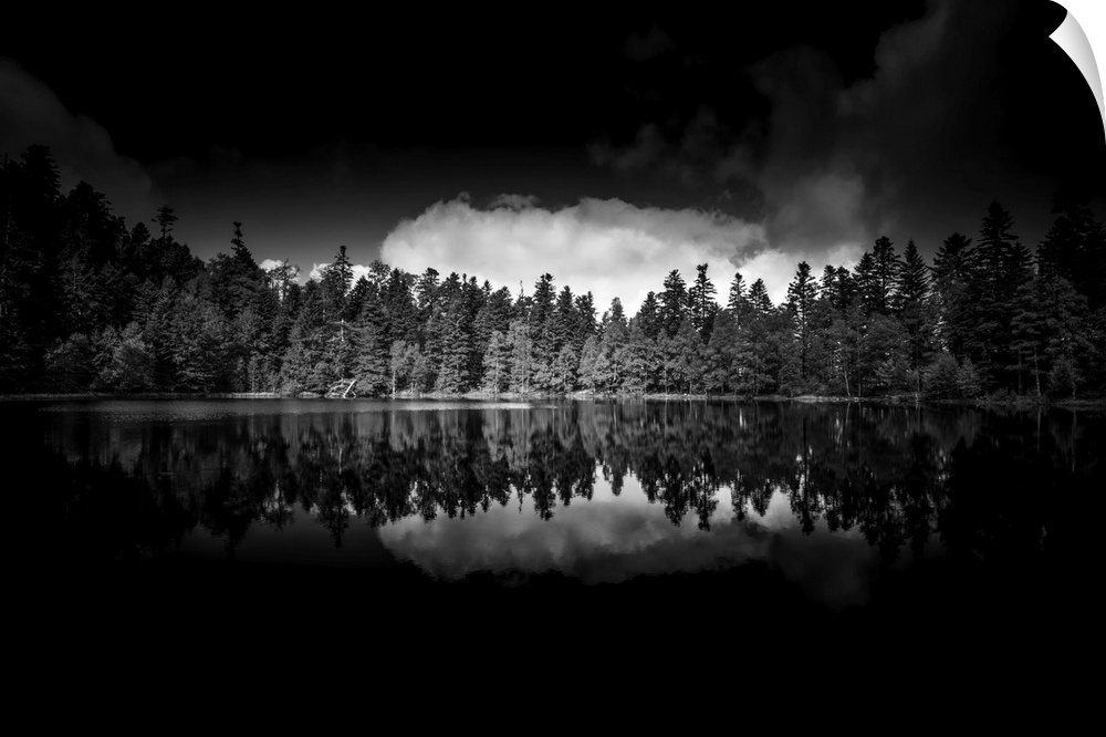Black and white photograph of a row of reflecting trees onto a still lake with high contrasting clouds above.