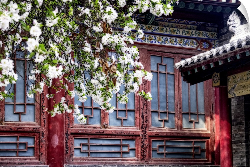 Blooming tree in front of a historic building, Beilin, Forest of the Stone Steles, Beilin, Shian, Shanxi Province, China.