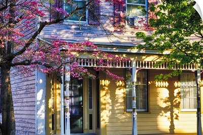 Old House with a Blooming Pink Magnolia Tree
