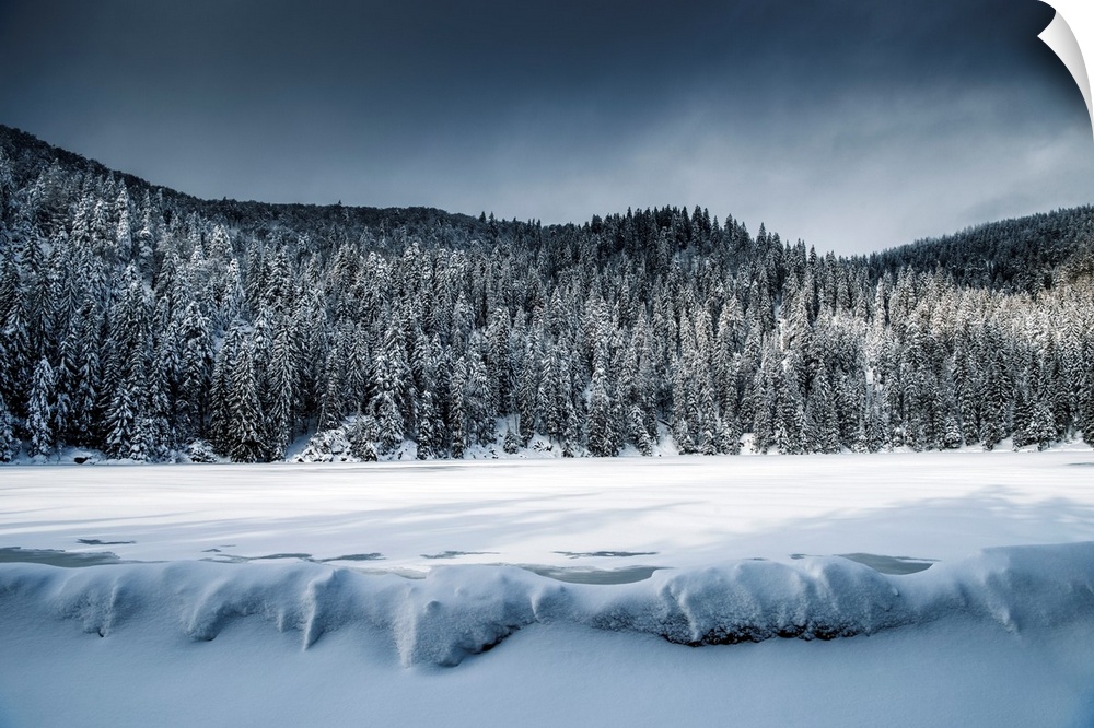 Winter landscape around a frozen lake and snow-covered fir trees