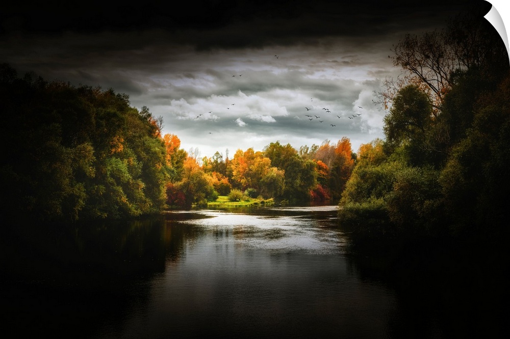 Dark mood of a river running through a forest in autumn