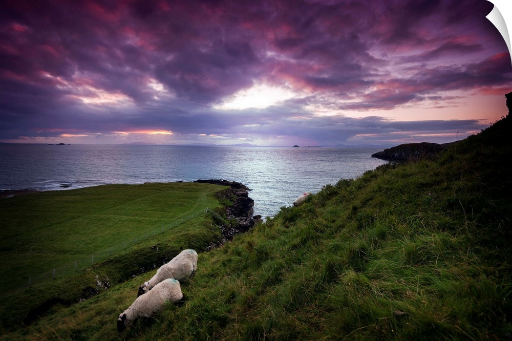 Fine art photo of grassy hills overlooking the sea under a pastel sky at dusk.