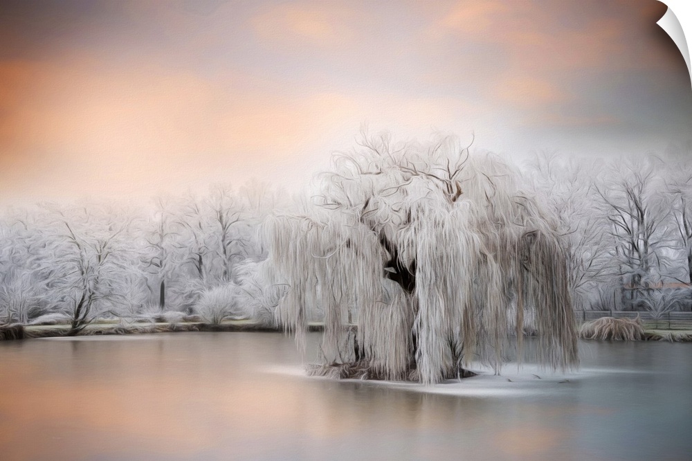 Photo Expressionism - Blue river surrounded by frozen trees in winter.