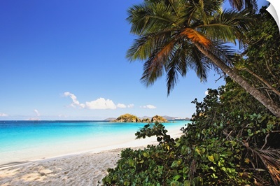 Palm Shaded Caribbean Beach, Trunk Bay, St John, US Virgin Islan