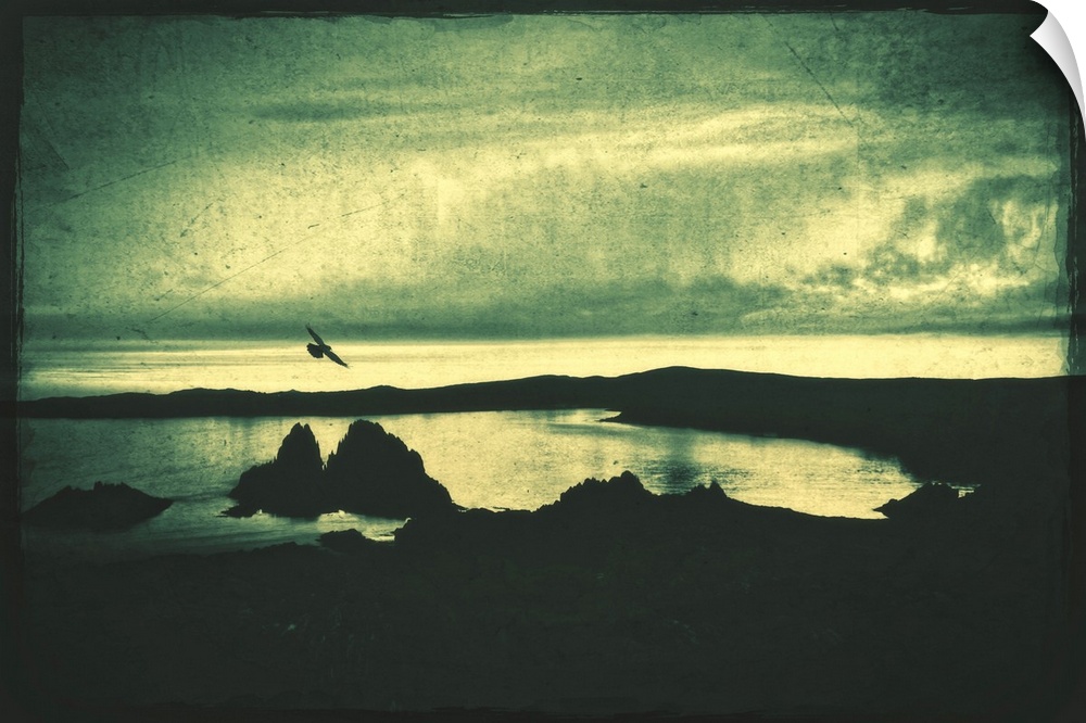 Sea shore at night with rocks and a flying bird. Photo texture.