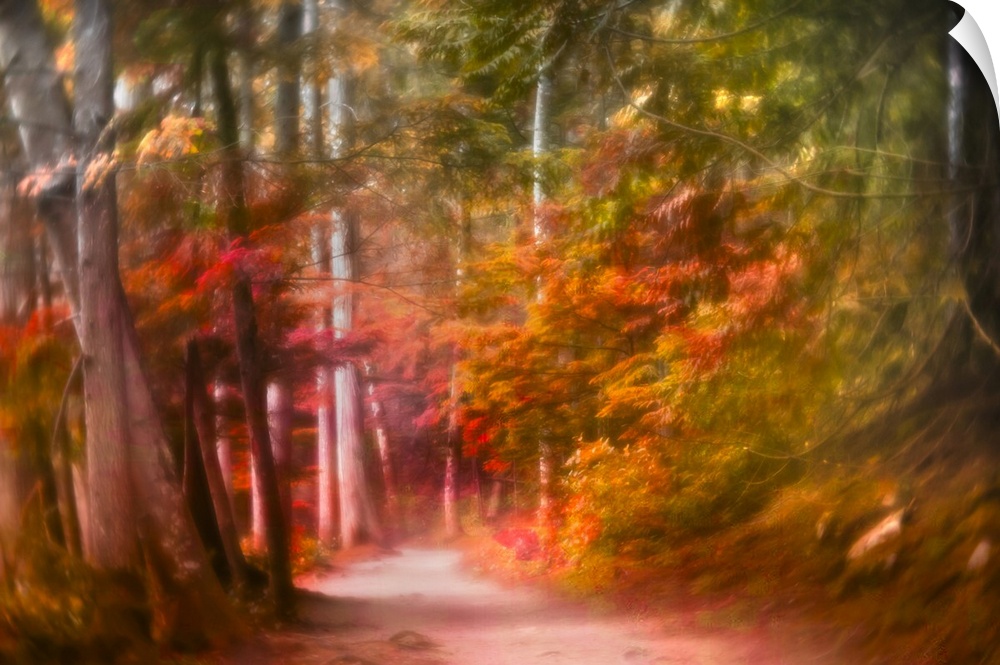 A path leading into a magical forest with a colorful painterly feel.