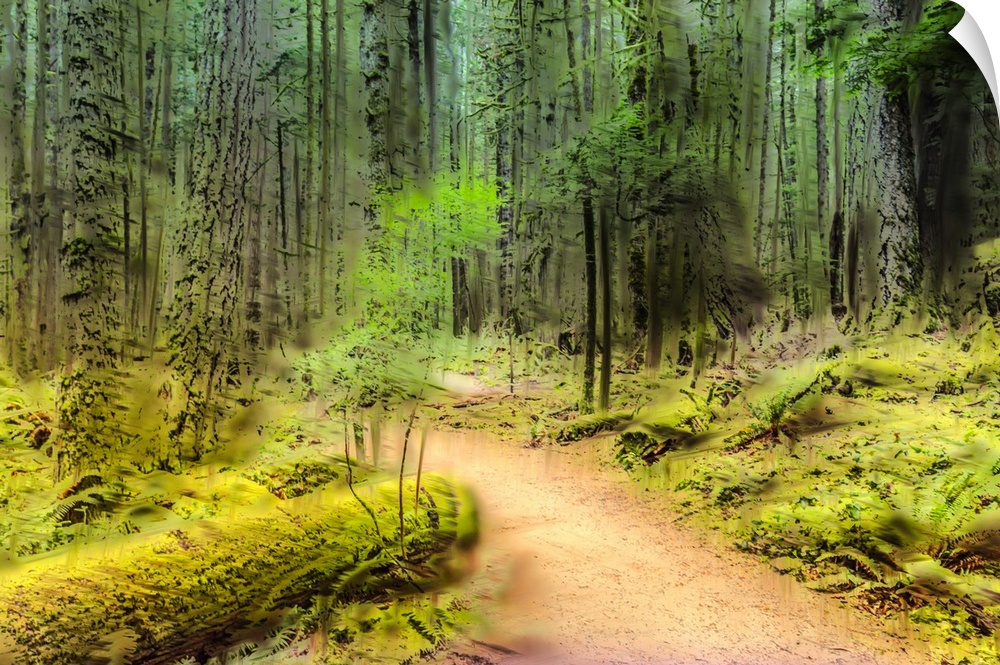 A painterly scene of a path leading into a lush forest, captured with in-camera-movement and multiple exposures.