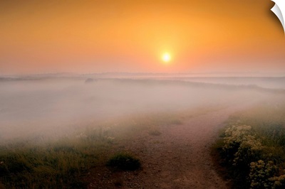 Path to the Sunrise