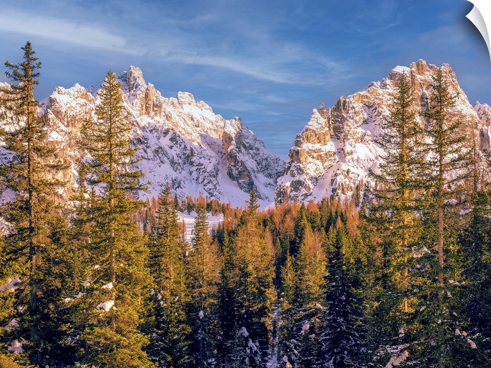Photo shot in the Dolomite mountains, the snow-capped peaks behind the Alpine fir trees. I used a 50mm lens at ISO 200.