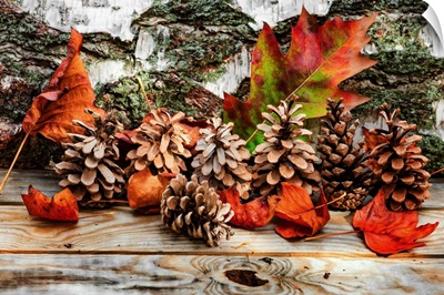 Pine Cones for Fall