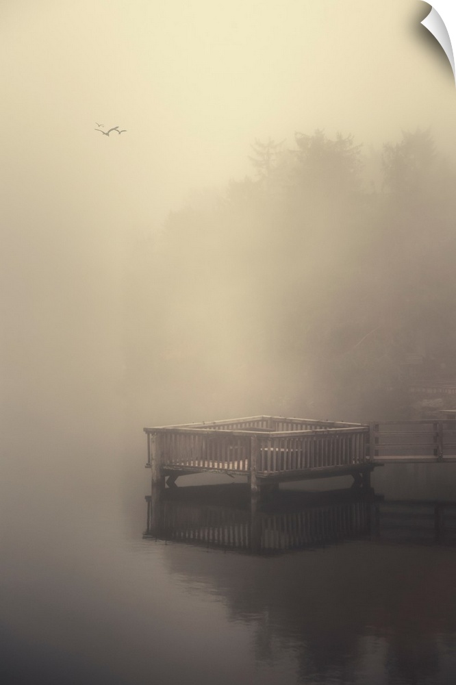 Pontoon in the fog with a flock of birds
