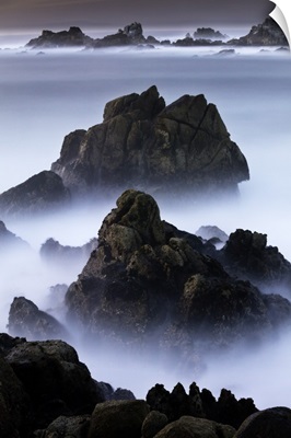 Point Lobos, California II