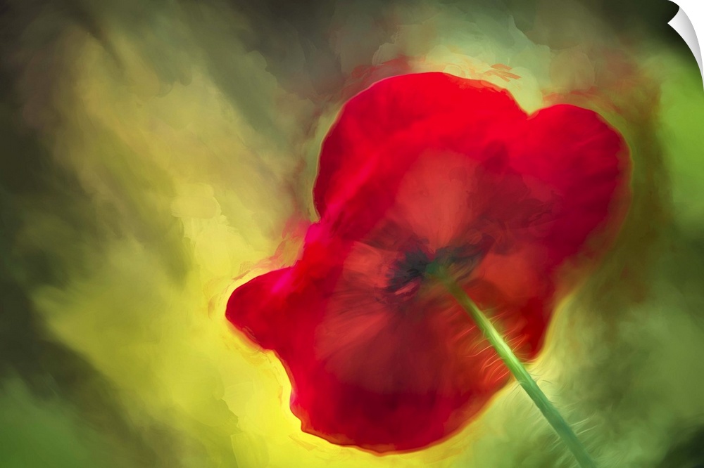 An abstract macro photograph of a bright red vibrant flower against a green background.