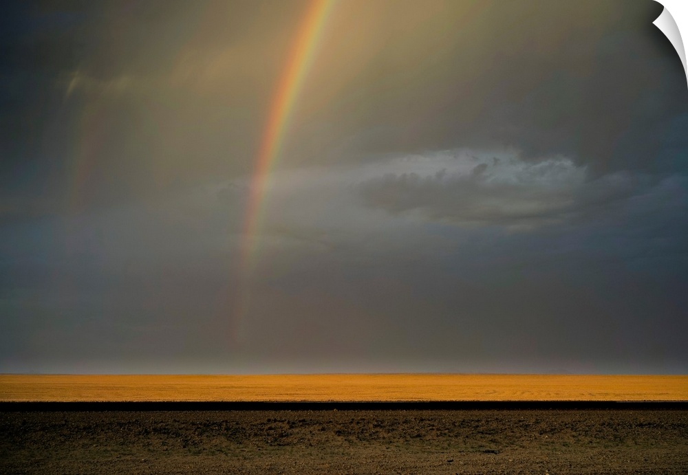 Landscape photograph of an open landscape with golden fields, a contrasting dark road, and a rainbow in the gray and blue ...
