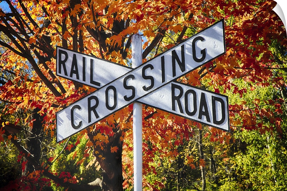 White railroad crossing sign in the traditional X shape against a backdrop of fall trees.
