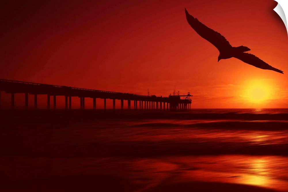 The sun setting fills this piece with warm tones throughout and a long pier stretches out into the ocean. A bird soars thr...